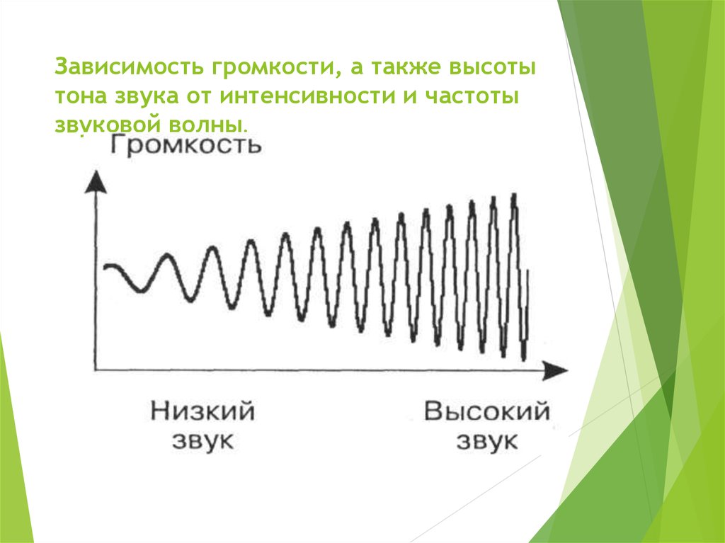 Звуковые волны определенной частоты. От чего зависит высота и громкость звука. Громкость звука и высота тона. Зависимость громкости от интенсивности звука. Звук громкость и высота звука.