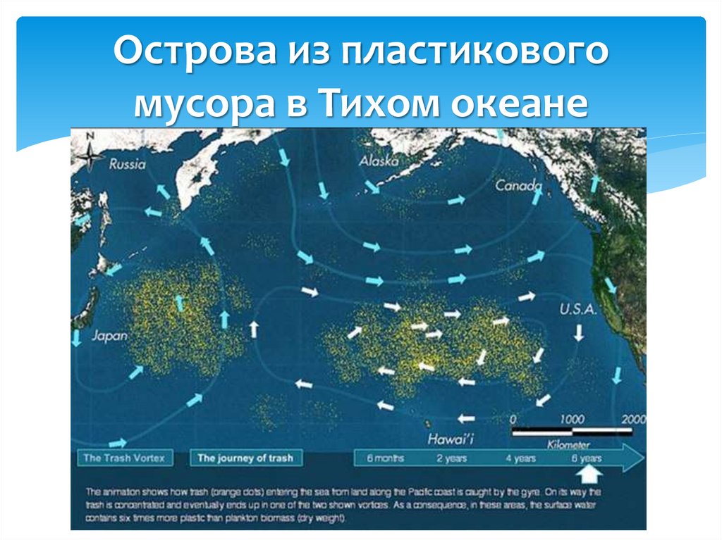 Мусорный остров в тихом океане презентация