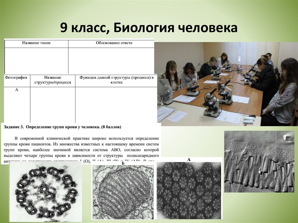 Этапы олимпиады по биологии. Региональный этап по биологии 9 класс. Биология 9 класс видеоуроки. Класс человека биология. Промежуточная 9 класс биология.