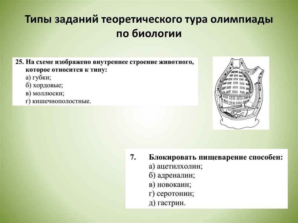 Темы проектов по биологии 9 класс