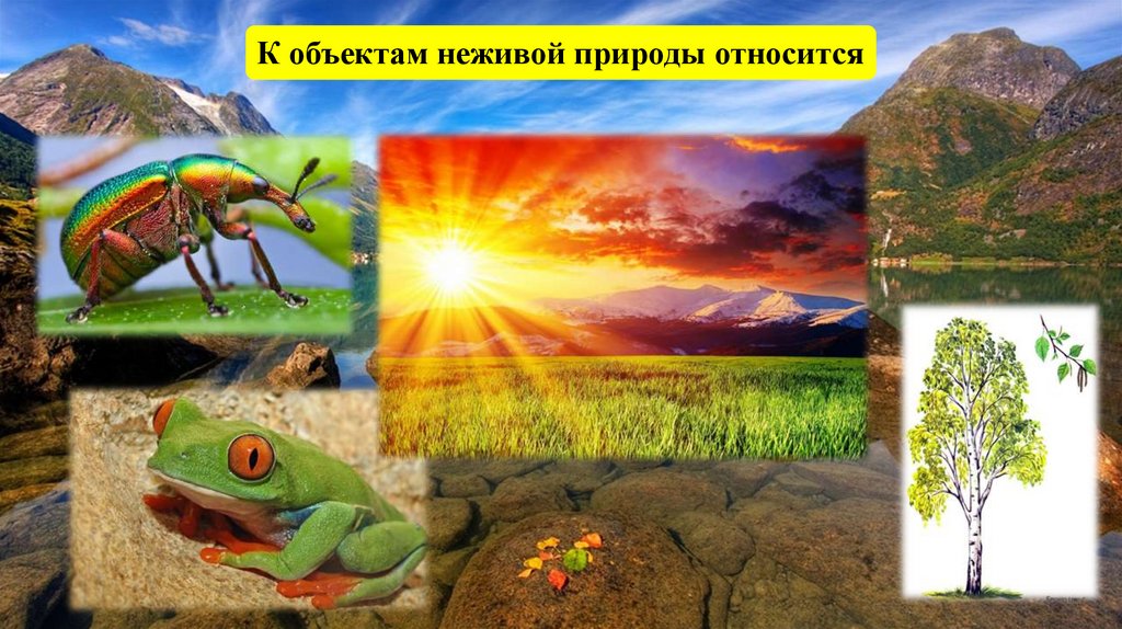 География. Географические исследования - online presentation