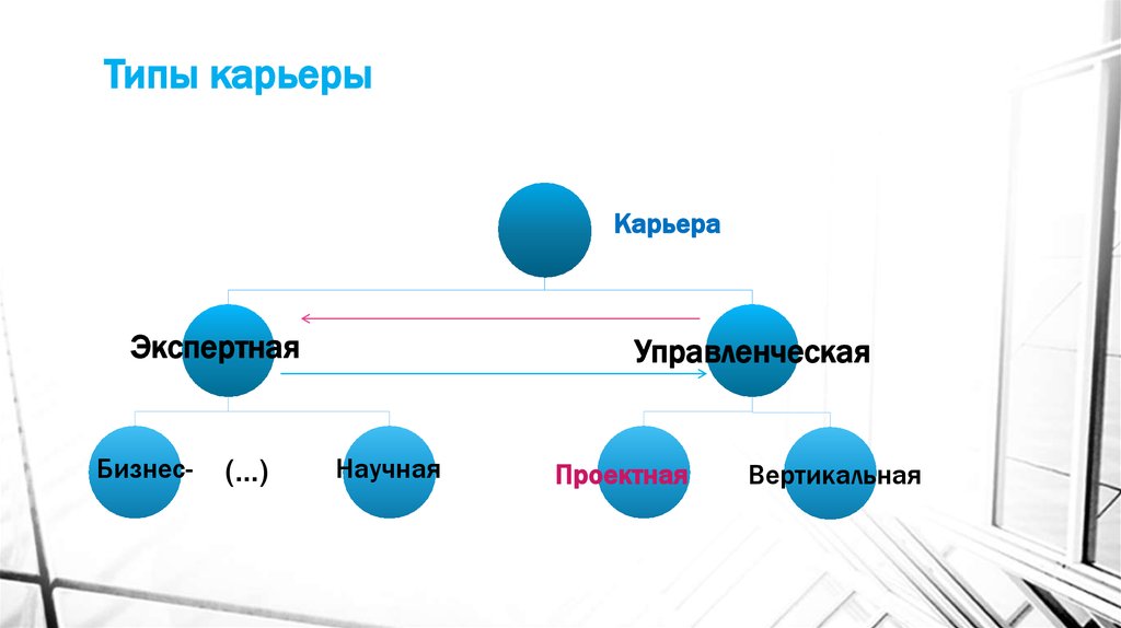 Типы карьеры. Векторы карьеры виды. Виды карьеры спиральная. Типы карьеры Егоршин.