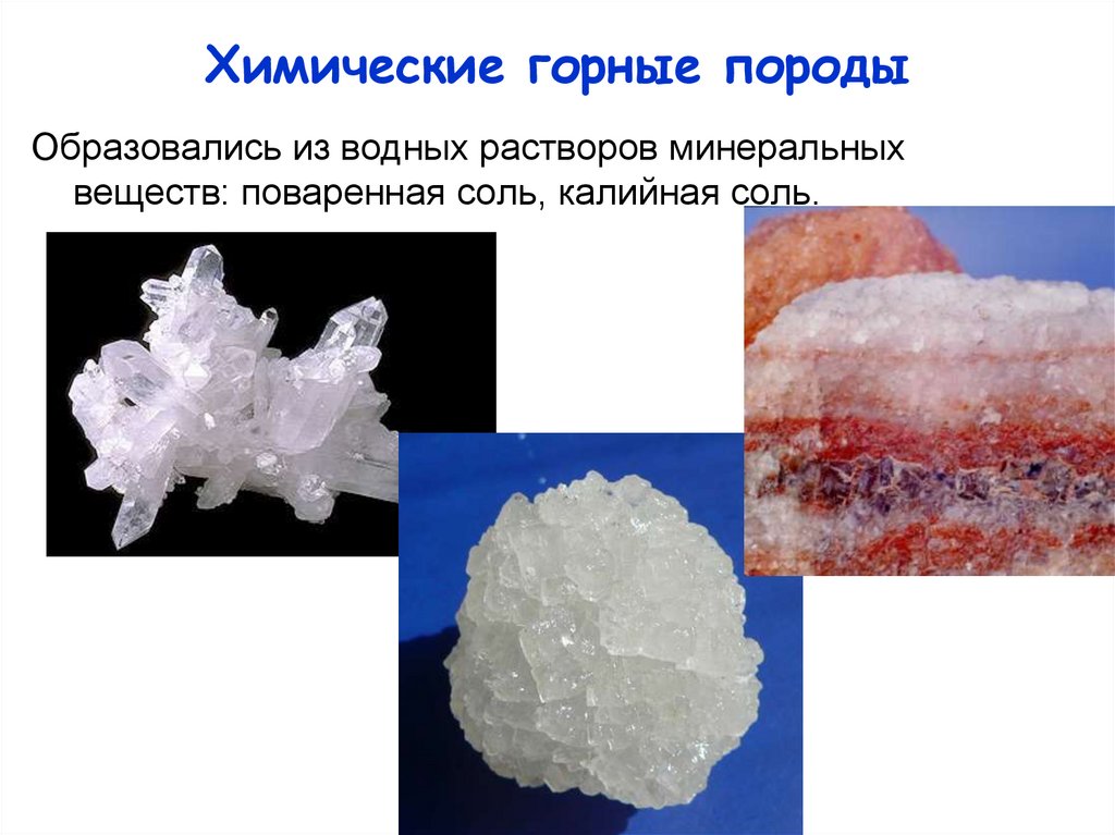Примеры химических горных пород. Осадочные химические горные породы. Осадочные горные породы соль. Калийная соль и поваренная соль. Минералы осадочные химические.