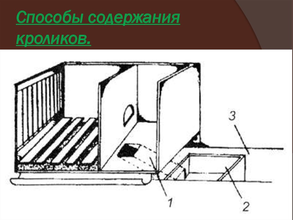 Схема ямы для кроликов