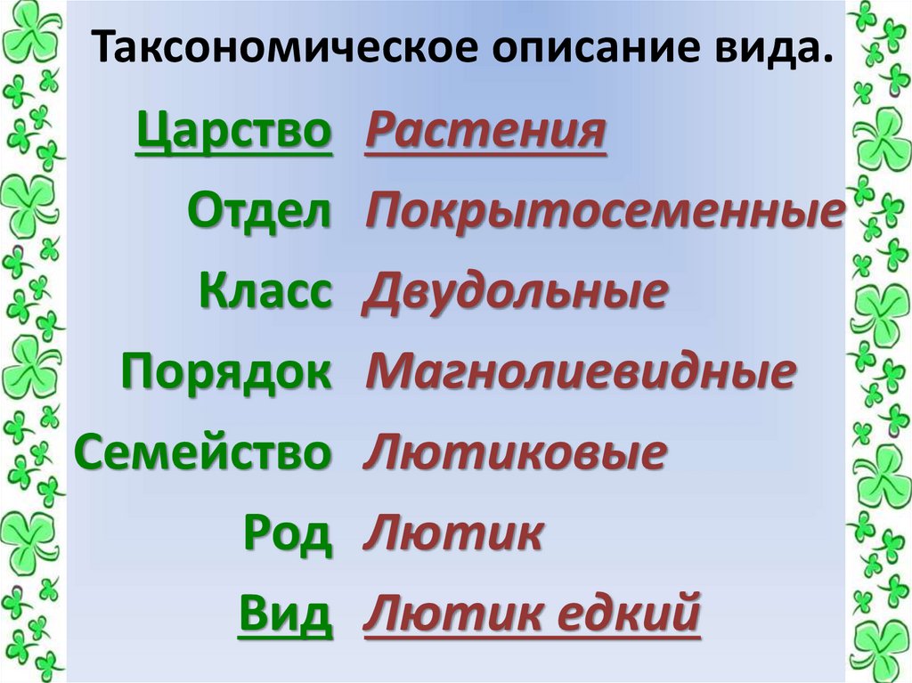 Какая схема используется при классификации растений вид род семейство порядок класс отдел