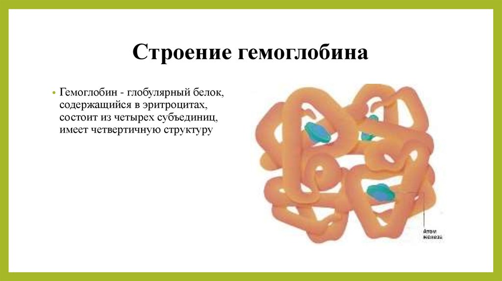 Гемоглобин биохимия презентация