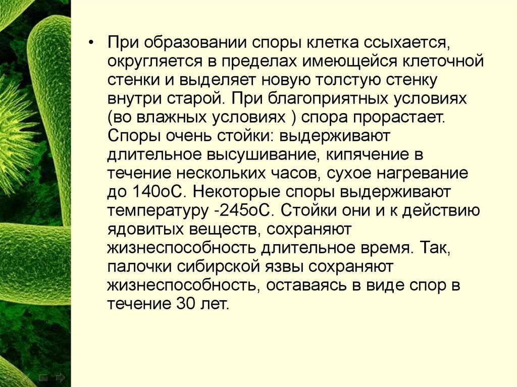 Какие организмы относятся к прокариотам. Прокариоты – это … К прокариотам относятся 3 подцарства. Подцарство кактуса. Прокариоты ,это Флора или фауна. Сколько Царств относиться к прокариотам.