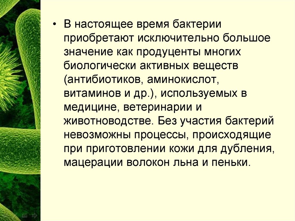 Бактерии относятся к. Бактерии относятся к прокариотам. Микроорганизмы относящиеся к прокариотам. Что относится к бактериям. Бактерии относят к прокариотам.