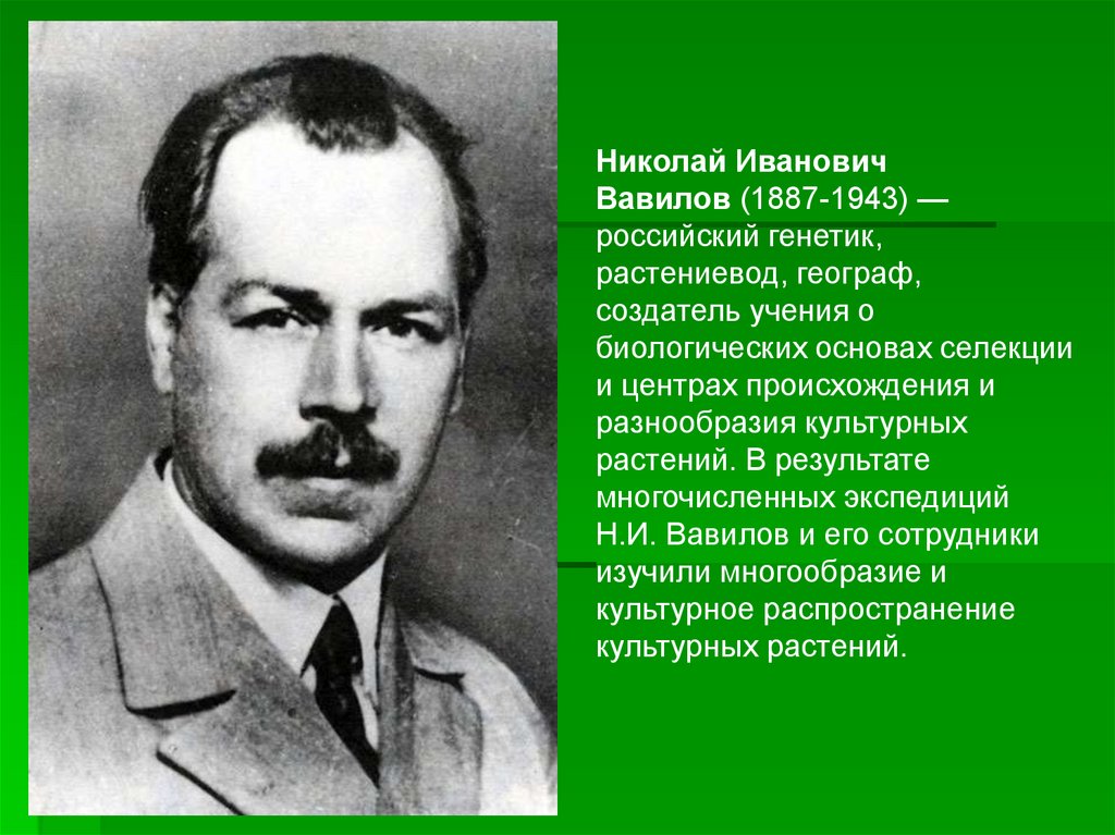 Генетические основы селекции вклад н и вавилова в развитие селекции презентация 11 класс