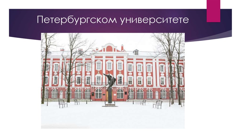 Петербургском университете