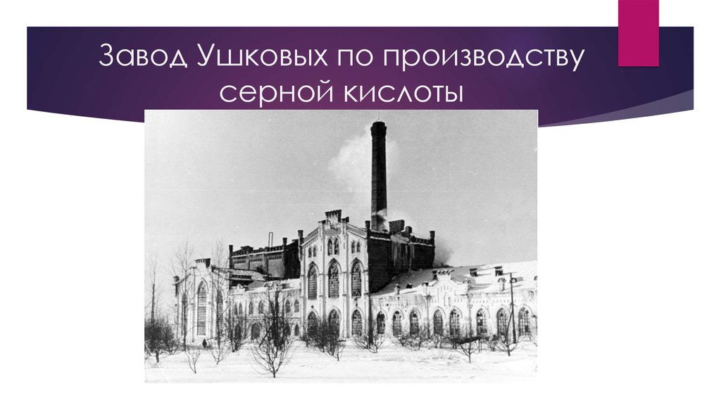 Завод Ушковых по производству серной кислоты