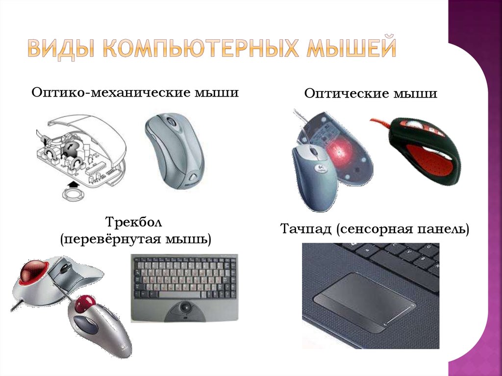 Виды компьютерных мышей презентация