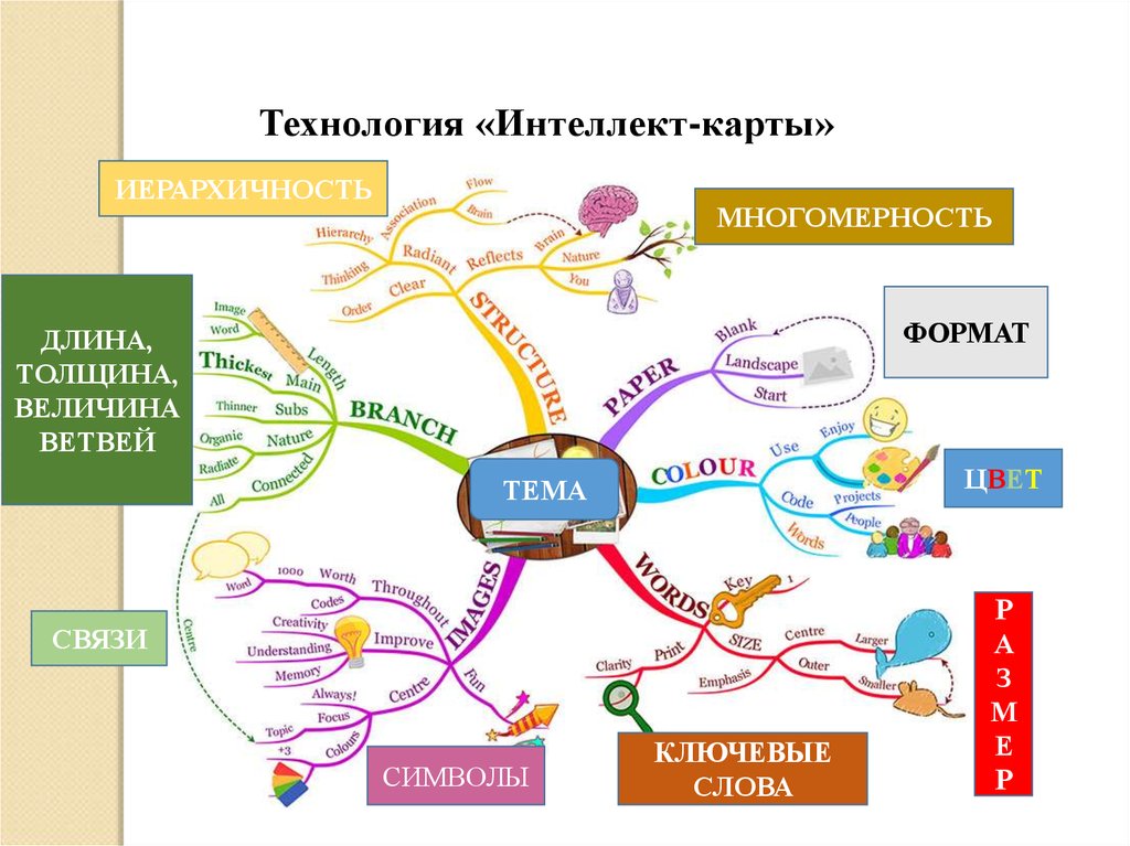 Интеллект карта правила составления