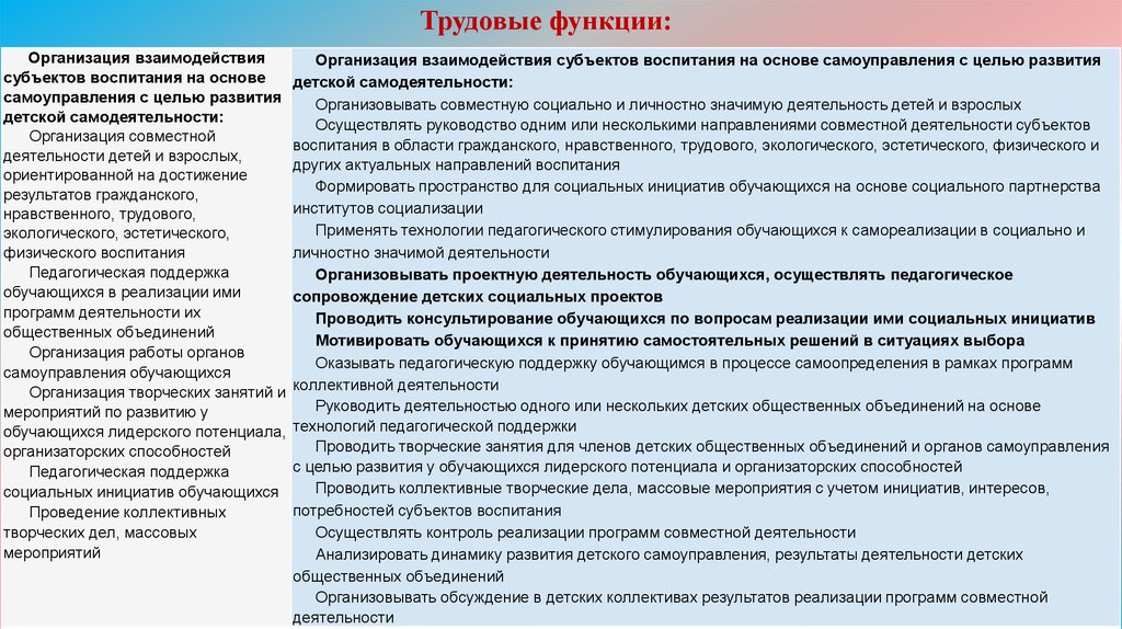 Программы деятельности объединения. Функции детских общественных объединений. Цели в развитии трудовых функций. Взаимодействие функций в организации.