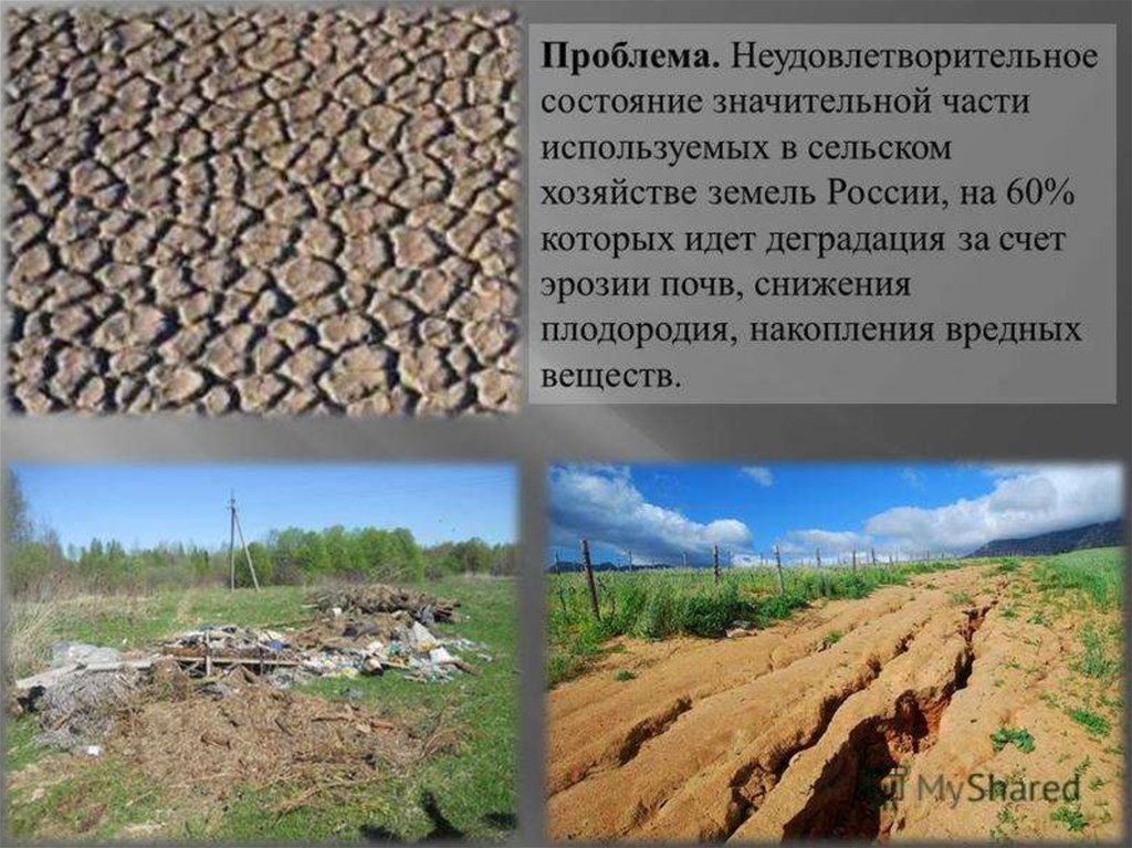 Эрозия почв какая проблема. Деградация почв. Деградация сельскохозяйственных земель. Загрязнение почвы эрозия. Деградация почв в России.