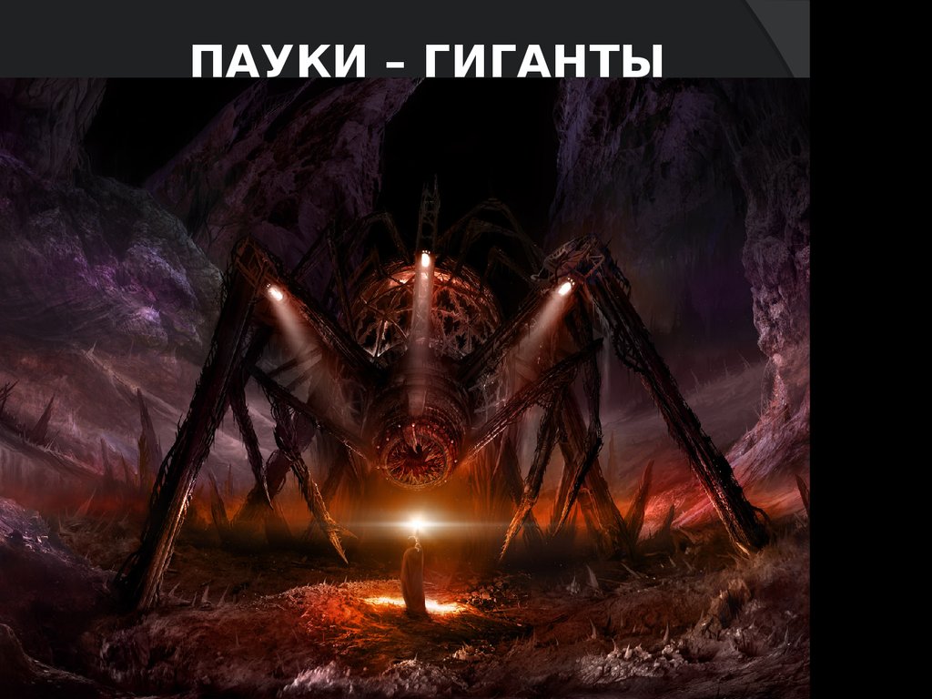 пауки – гиганты