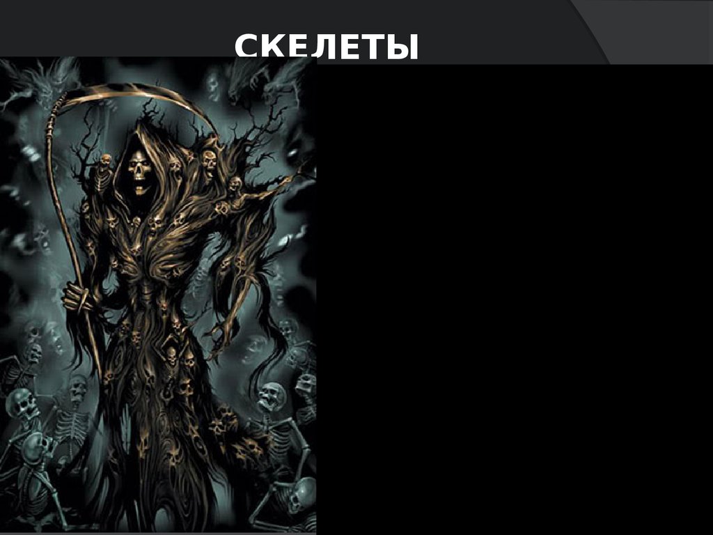 скелеты