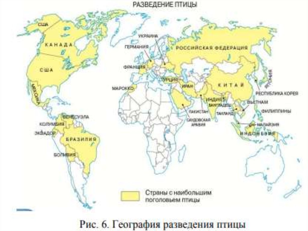 Составьте схему структура животноводства мира приведите примеры стран