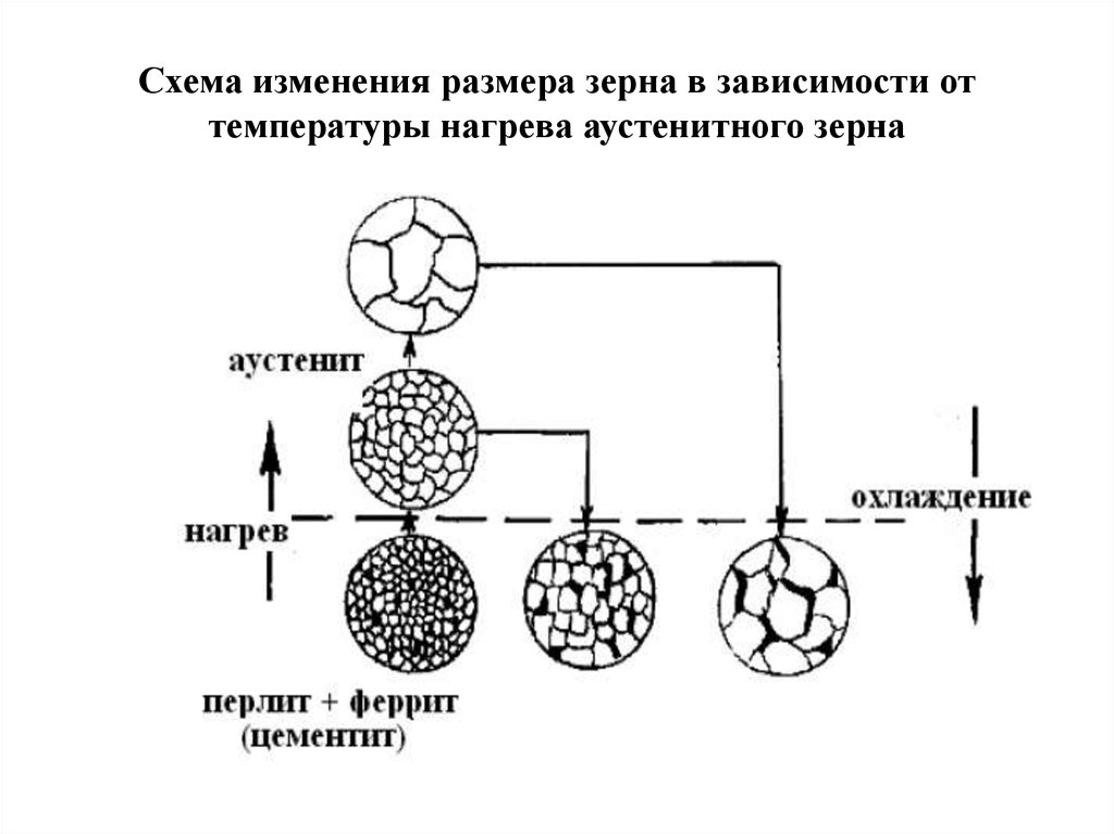 Размер зерна зависит от. Величина аустенитного зерна. Факторы, определяющие размер аустенитного зерна. Аустенитное зерно. Размер зерна стали.