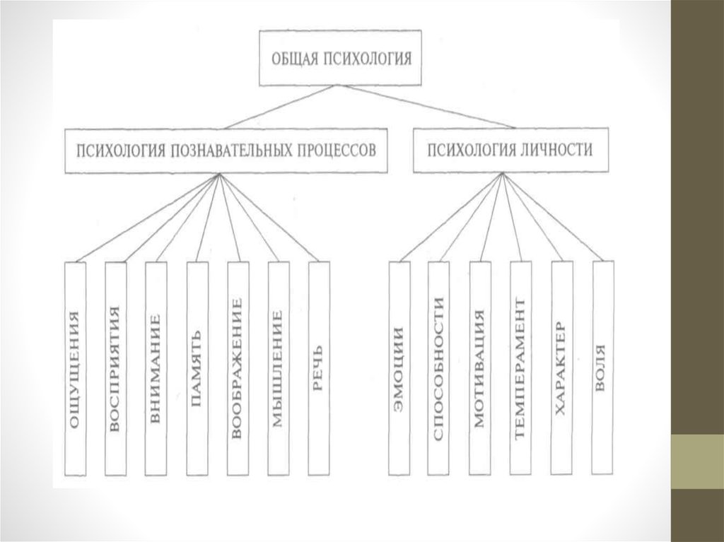 Отрасли психологии схема