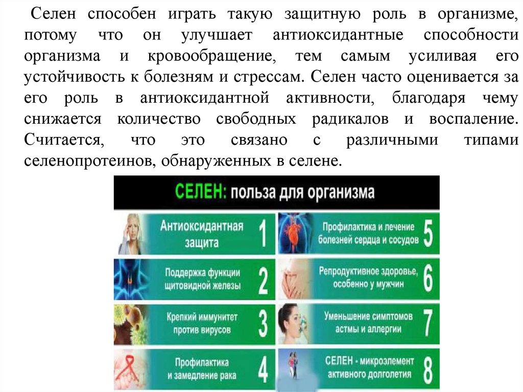 Потому что организм. Организм становится устойчивым к болезням. Какую роль в организме играет селен. Вопрос по организму устанавливается устойчивых к болезням.