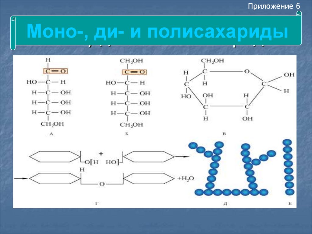 Ди и полисахариды. Углеводы моно ди и полисахариды. Строение ди и полисахаридов. Ди и полисахариды формулы. Моно- и полисахариды строение.