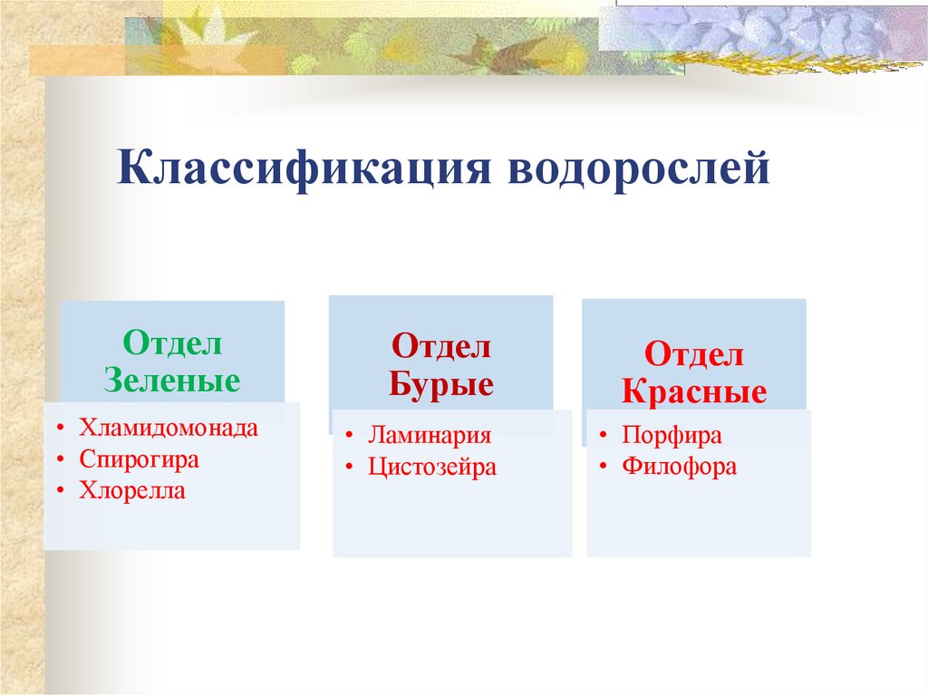 Систематику водорослей. Отдел водоросли классификация. Классификация водорослей схема. Систематика водорослей схема. Классификация водорослей таблица.