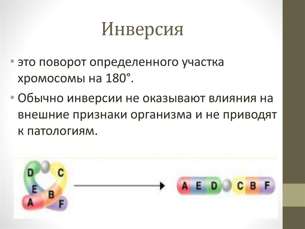 Сделать инверсию картинки