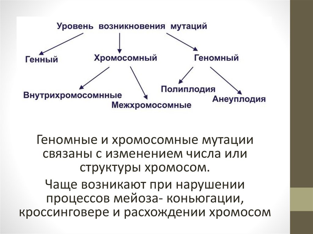 Мутации презентация 10 класс