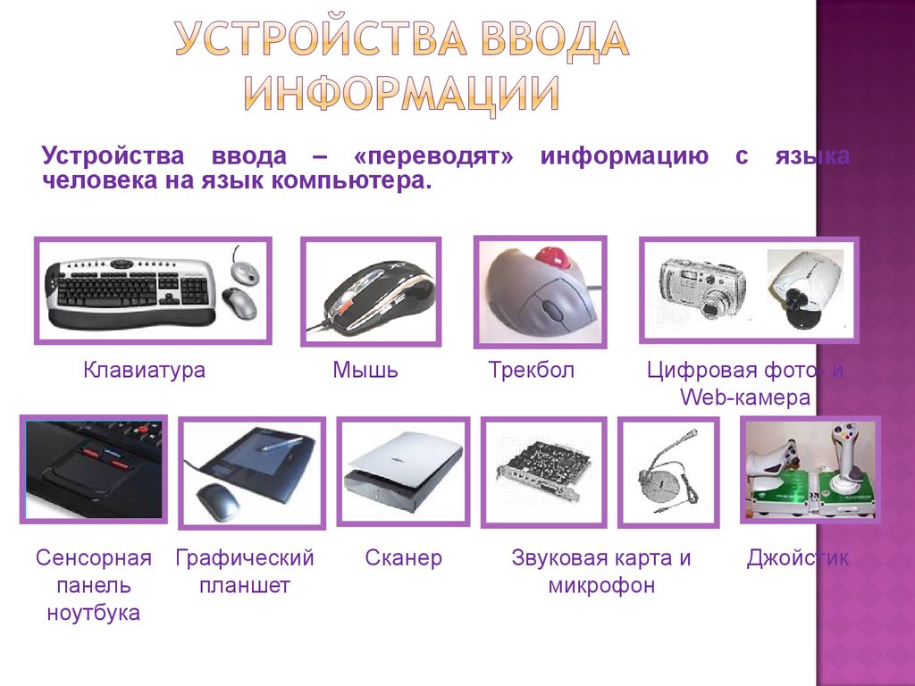 Назовите устройство ввода информации. Устройства ввода. Устройства ввода информации в компьютер.