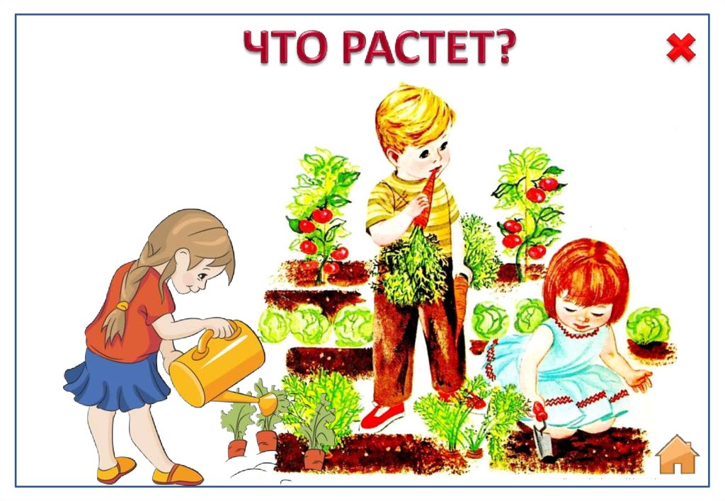 ЧТО РАСТЕТ?