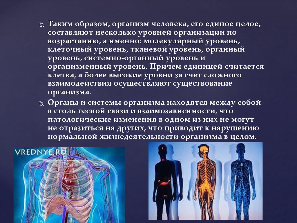 Человек как единое целое. Организм человека единое целое. Организм человека как единое целое. Организм человека как единое целое кратко. Молекулярный уровень организации организма человека.