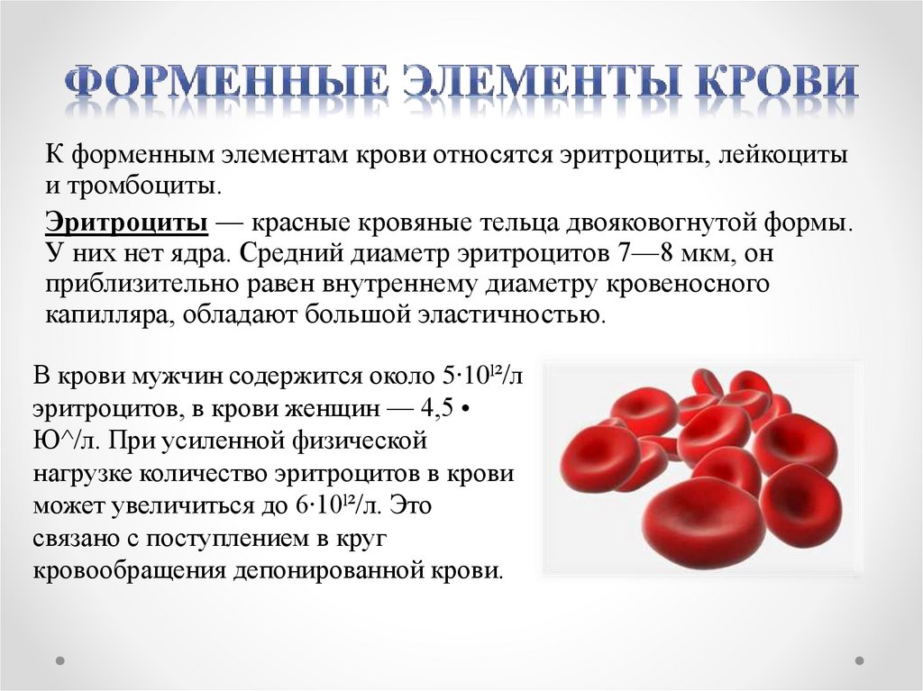 Эритроциты донора. Форменные элементы крови эритроциты лейкоциты тромбоциты. Форменные элементы крови строение эритроциты. Кровь функции и элементы крови. Функция лейкоцитов свертывание крови.