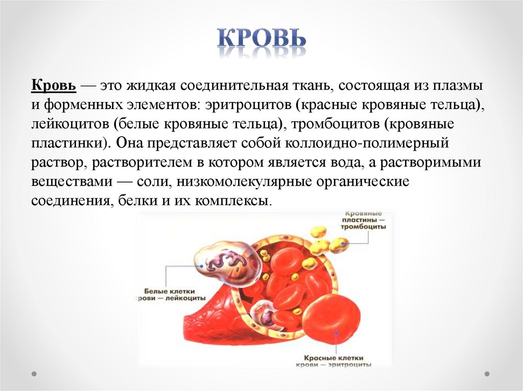 Состав крови презентация 8 класс