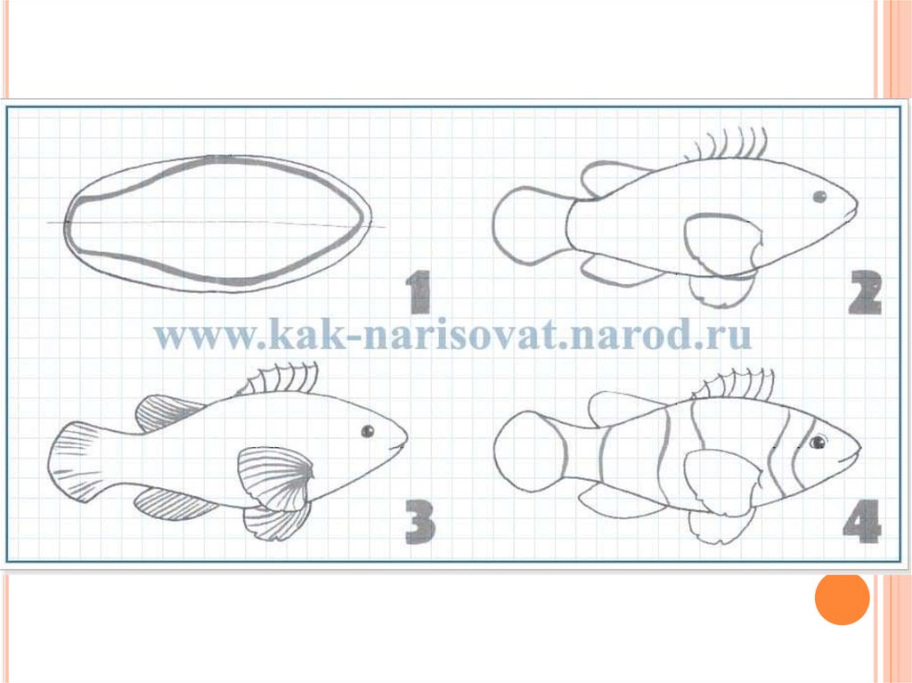 Рисуем рыбу клоун с детьми