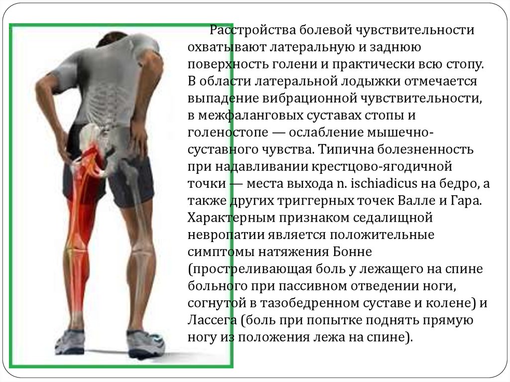 Почему больно вставать на ногу. Боль в бедренном суставе. Болит задняя часть мышцы ноги.