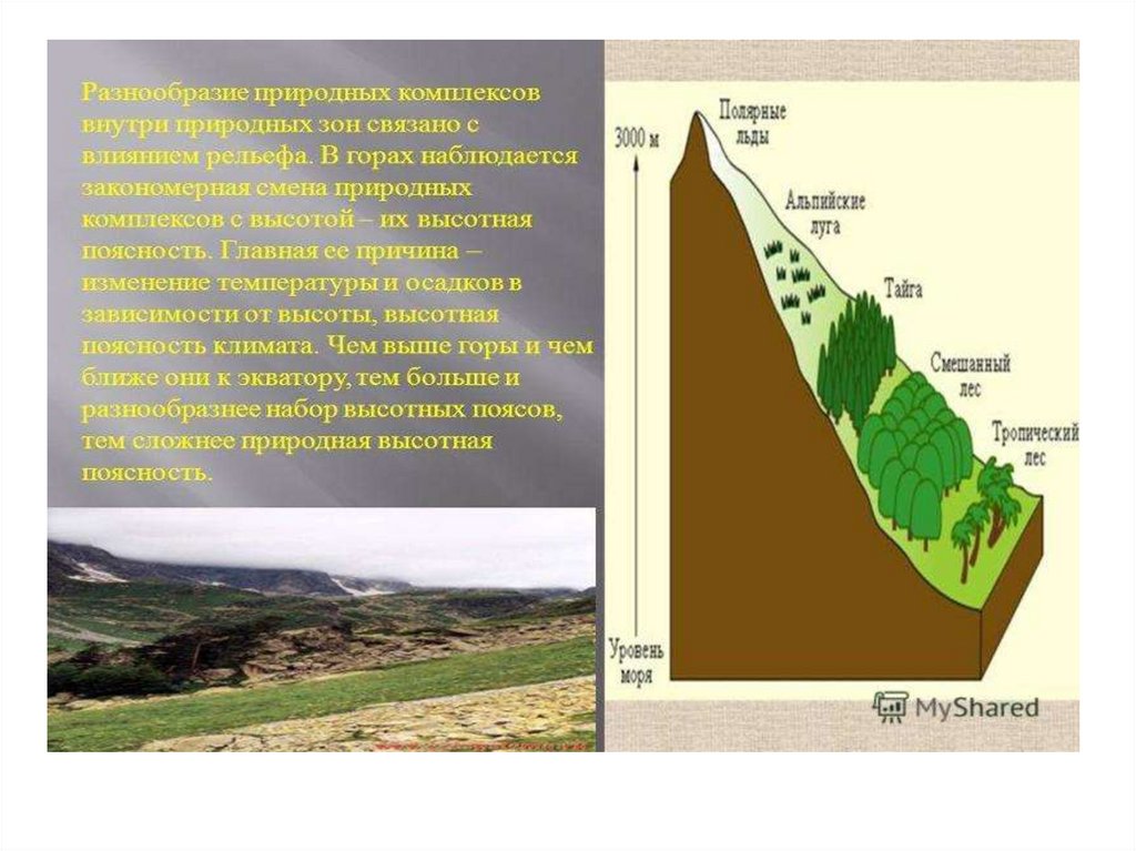 Как природные условия горных районов воздействуют на. Высотная поясность и природный комплекс. Смена природных комплексов. Изменение природных зон в горах. Зональность растительности.