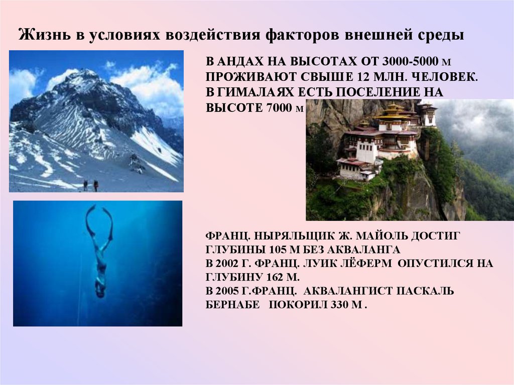 Влияние условий среды. Сколько человек живет на высоте 2000 метров в Андах. Сколько человек проживает в Андах на высоте 3000 метров. На высоте 3000 м в Андах сколько проживает населения.