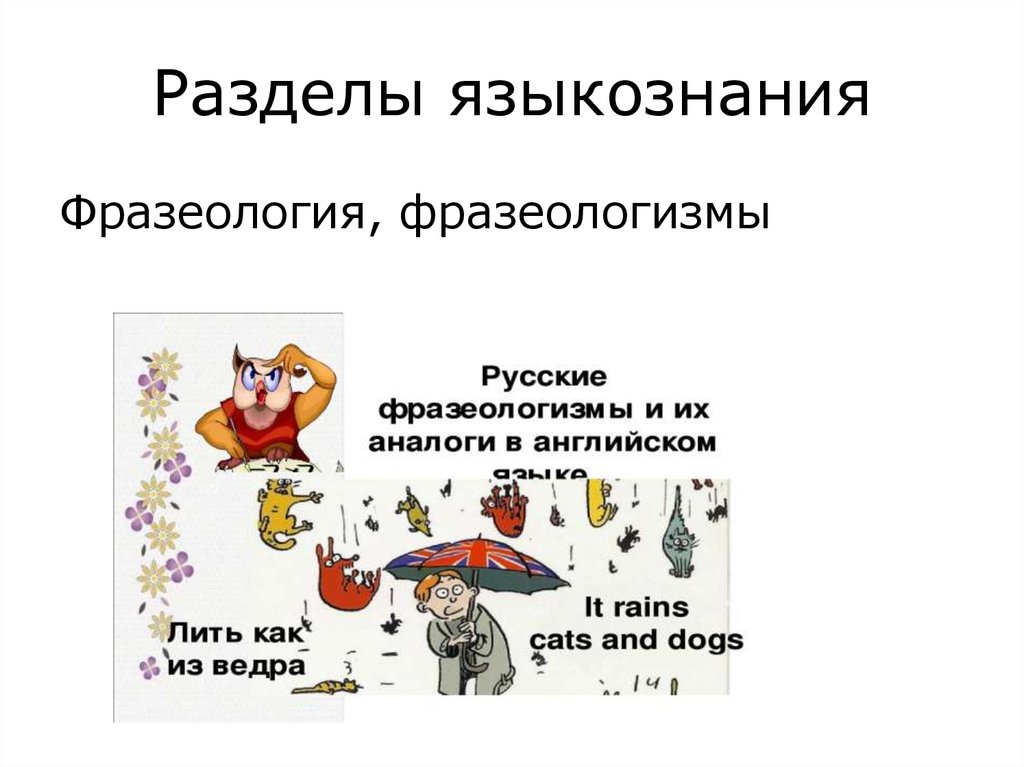 Вопросы языкознания. Фразеология раздел языкознания. Вопросы по языкознанию. Презентация по языкознанию. Трудные вопросы Лингвистик.