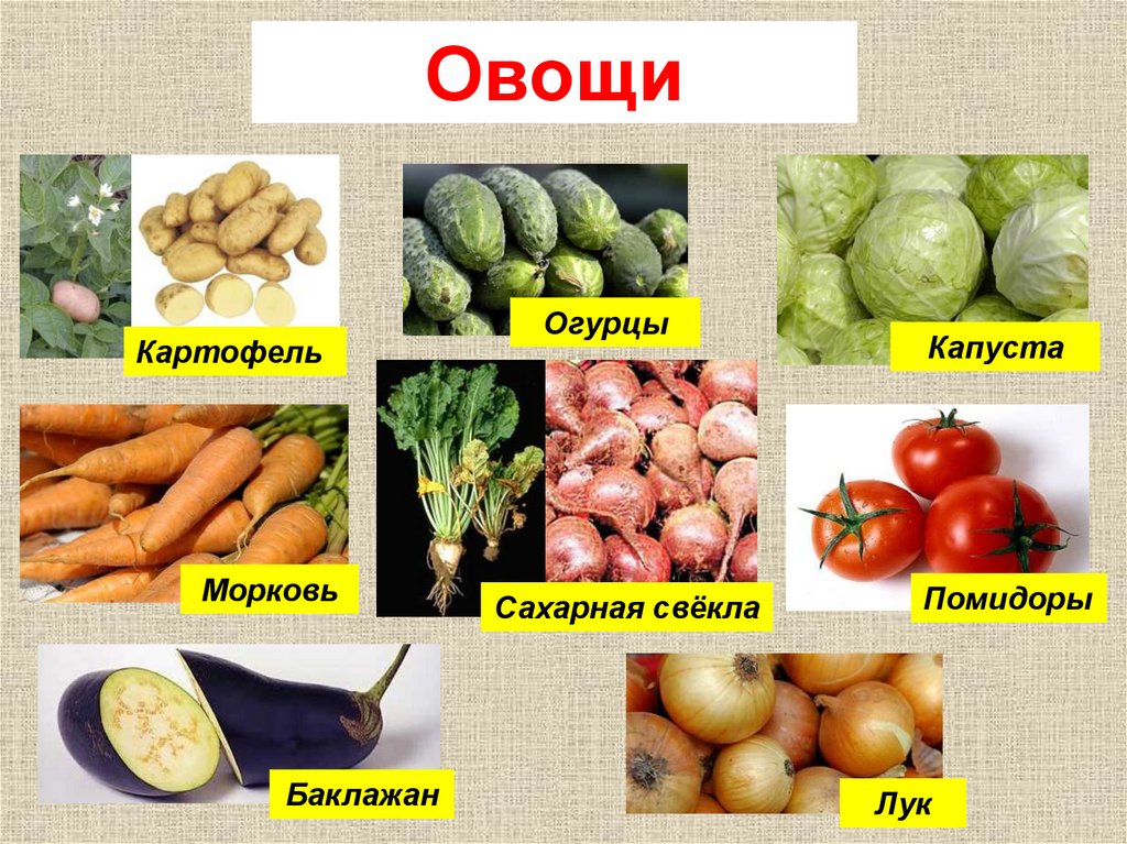 Овощная масса состоит из горошка и моркови. Морковь огурцы картофель. Картофель, морковь, лук, огурцы, помидоры.. Овощи картофель морковь капуста лук. Капуста лук морковь картошка.