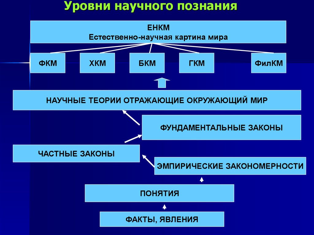 Мир результаты. Естественно научная картина мира. Естественно научная модель. Научные картины мира таблица. Естественно научные законы.