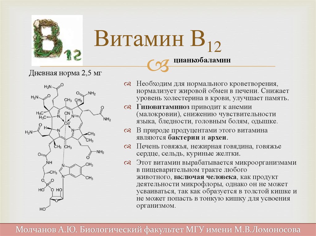 Какой витамин синтезируется микрофлорой. Витамин в3 в6 в9 в12. Витамин б12 АМЛ. Биологическая роль витамина витамин в12. Витамин б12 строение.