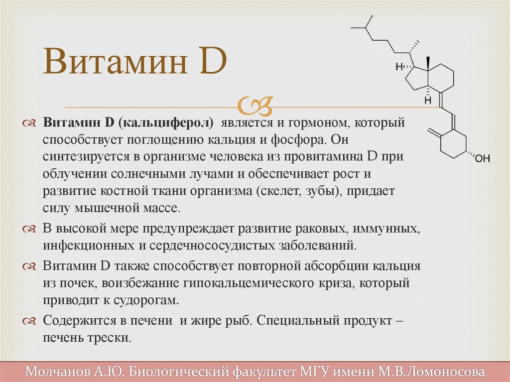 На что влияет д3. Предшественником витамина д в организме человека является. Общая характеристика витамина д. Витамин д3 3000ме. Особенности приема витамина д.