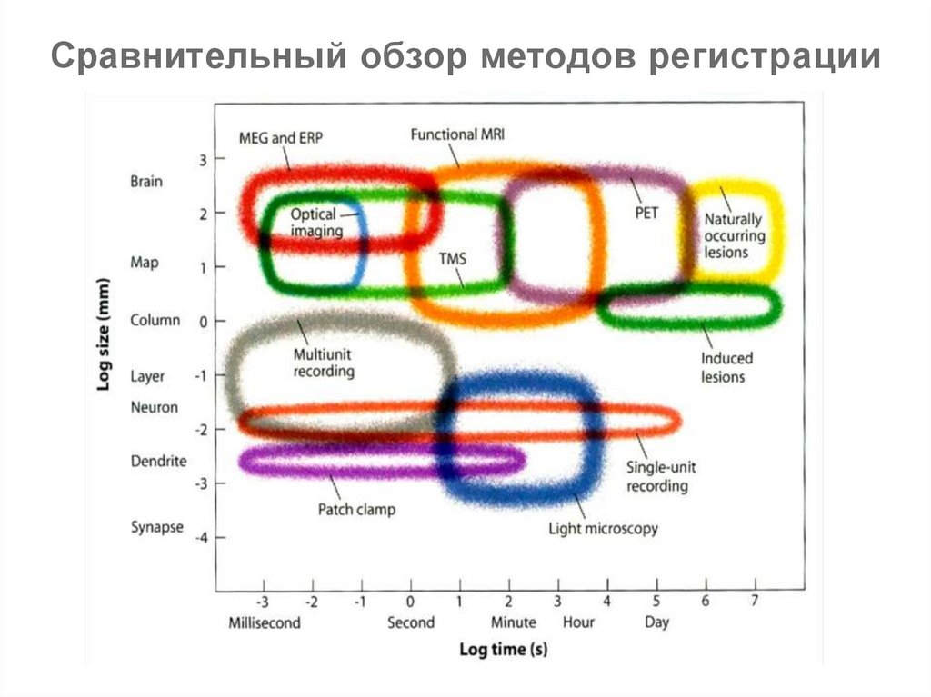 Обзор сравнение