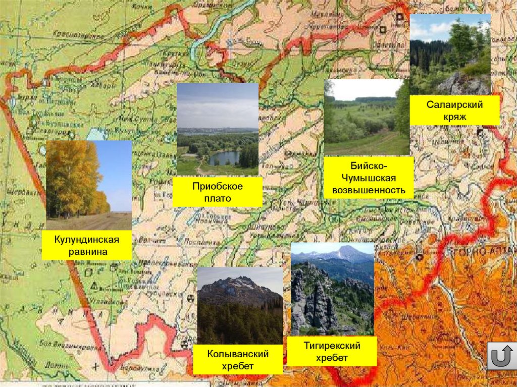 Контурная карта салаирский кряж