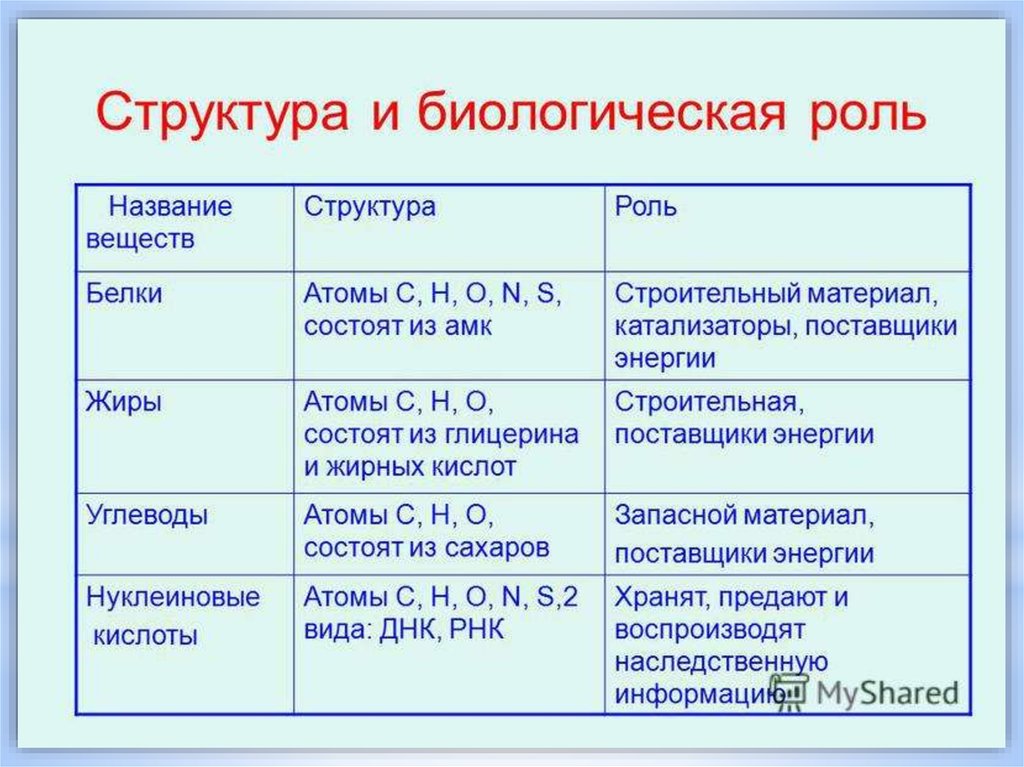 Химические соединения биология. Химический состав клетки таблица Минеральные соли. Химический состав клетки таблица анатомия. Химический состав клетки. Молекула таблица. Строение и химический состав клетки таблица.