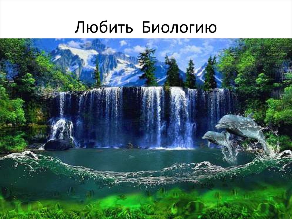Любить Биологию