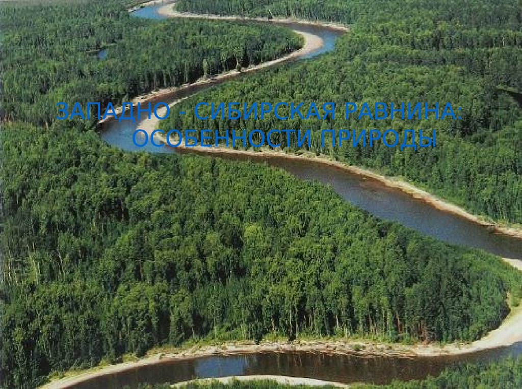 Большие реки западно сибирской равнины. Западно Сибирская равнина. Обь Тымская низменность. Реки Западно сибирской равнины. Западносибирская равнинпра.
