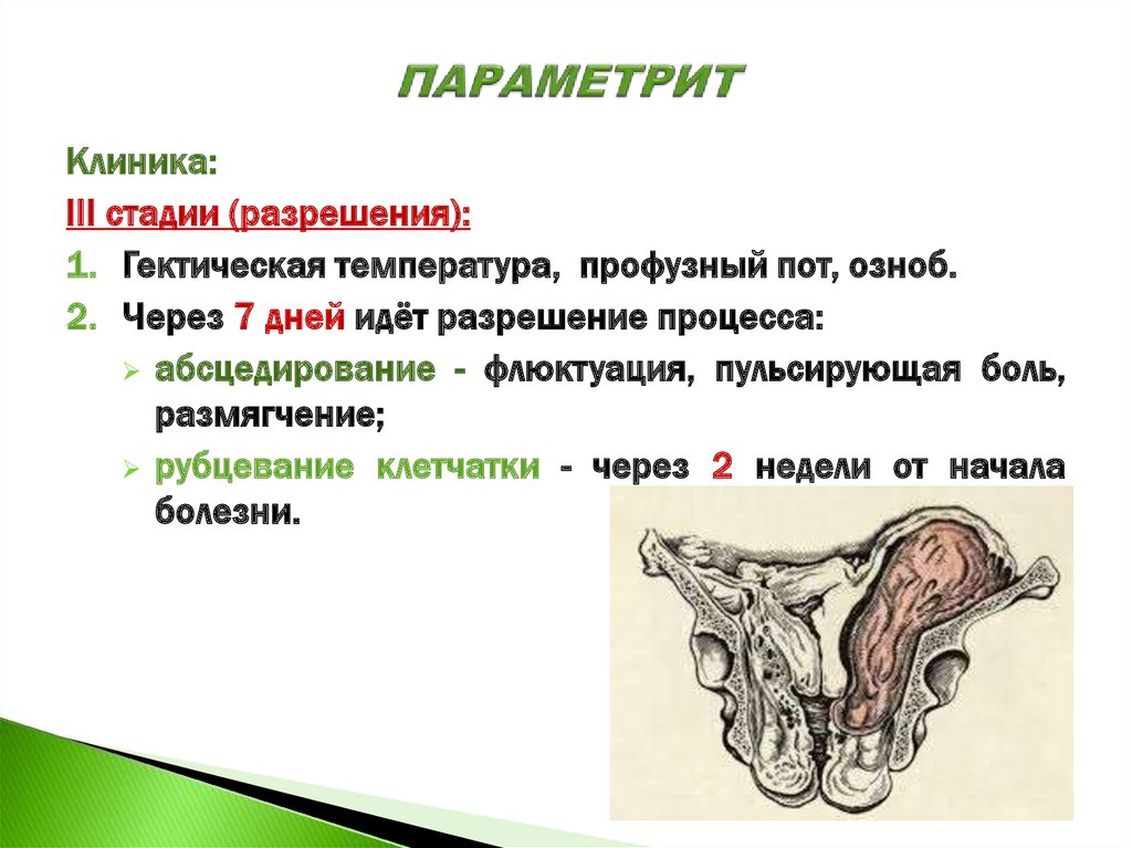 Послеродовый параметрит презентация