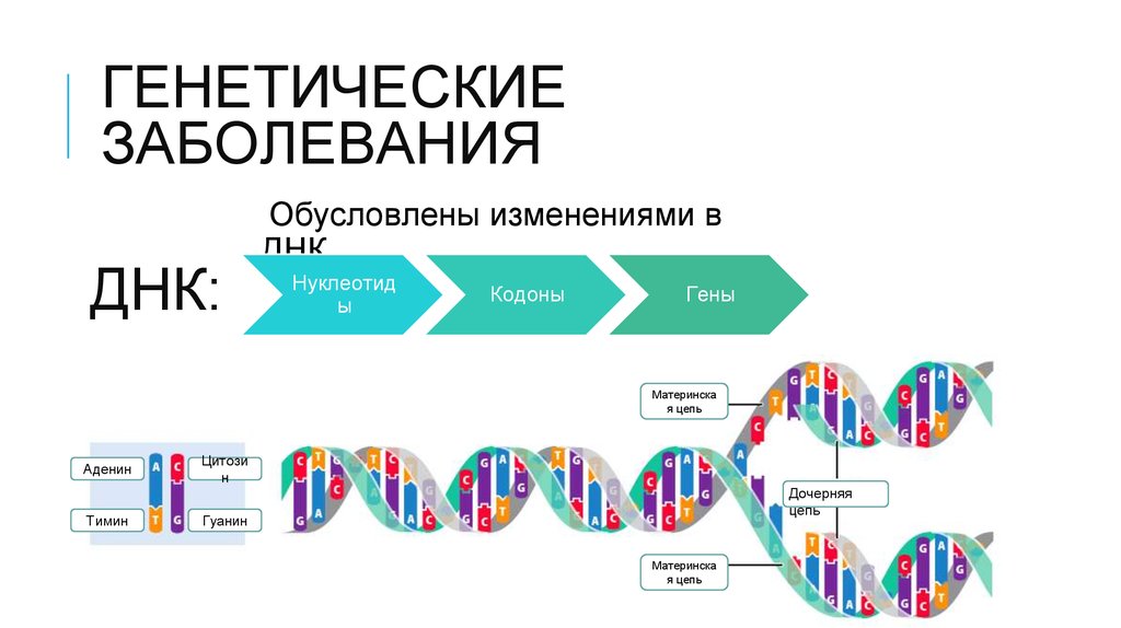 Генные геномные заболевания. Генетические заболевания. Наследственные генетические заболевания. Генные болезни генетика. Геномные наследственные заболевания.